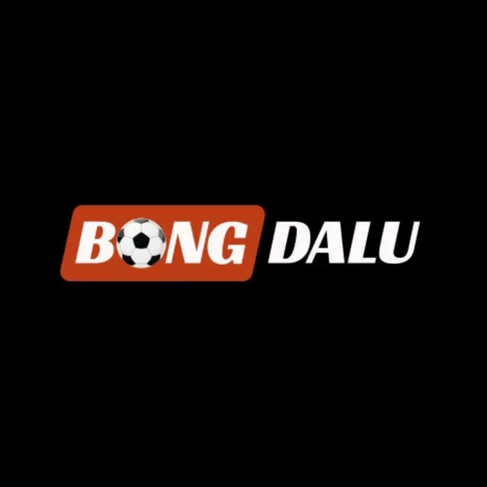 Bongdalu Phiên Bản Cũ: Tìm Hiểu Giao Diện, Tính Năng Và Cách Sử Dụng An Toàn - ảnh 2