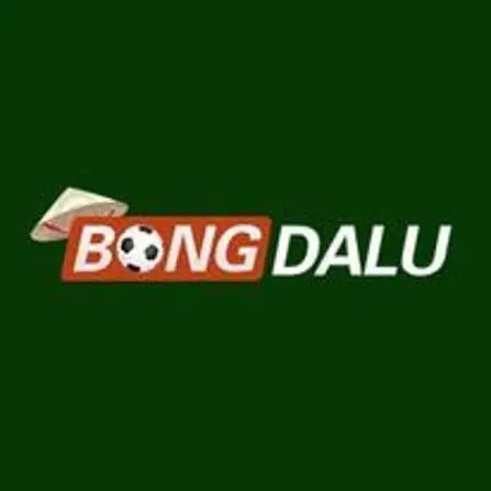 Bongdalu Phiên Bản Cũ: Tìm Hiểu Giao Diện, Tính Năng Và Cách Sử Dụng An Toàn - ảnh 3