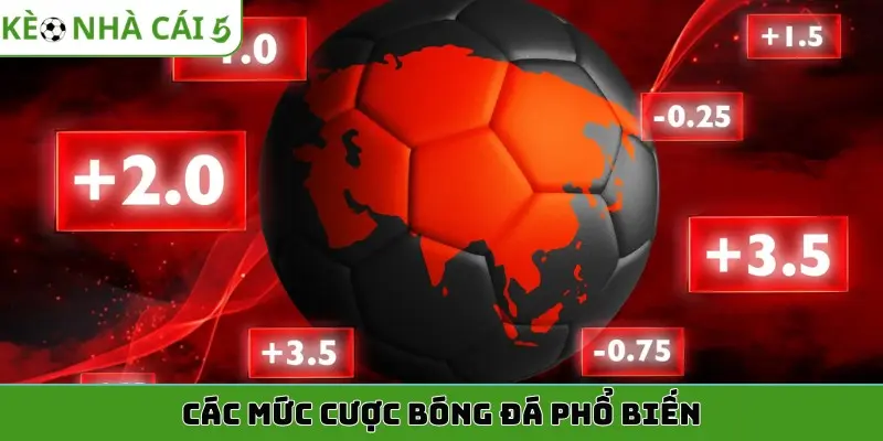 Keonhacai5: Khám Phá Thông Tin Tỷ Lệ Kèo Và Xu Hướng Phân Tích Bóng Đá - ảnh 2